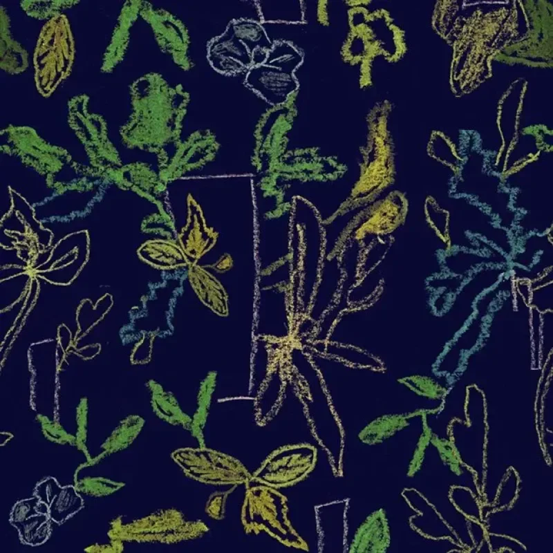 Sprouts – Moooi Carpets at Mesmetric
