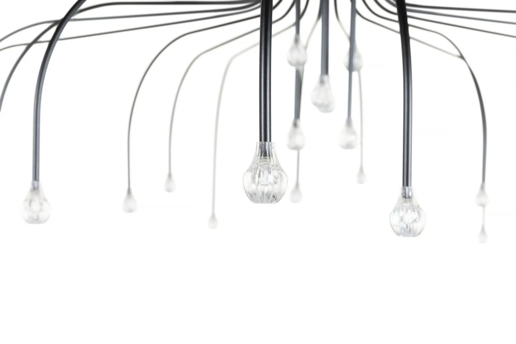 Starfall Light - Moooi w Mesmetric