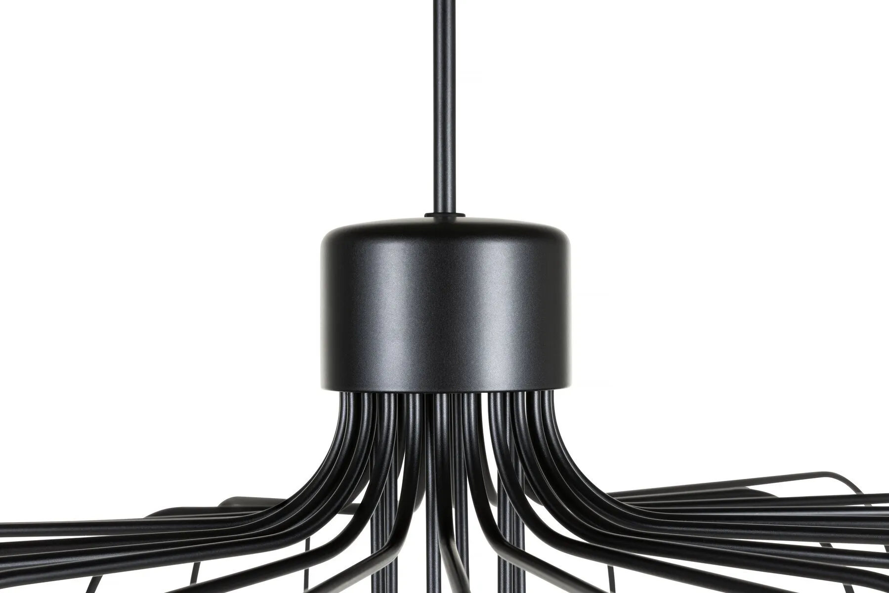 Starfall Light - Moooi w Mesmetric
