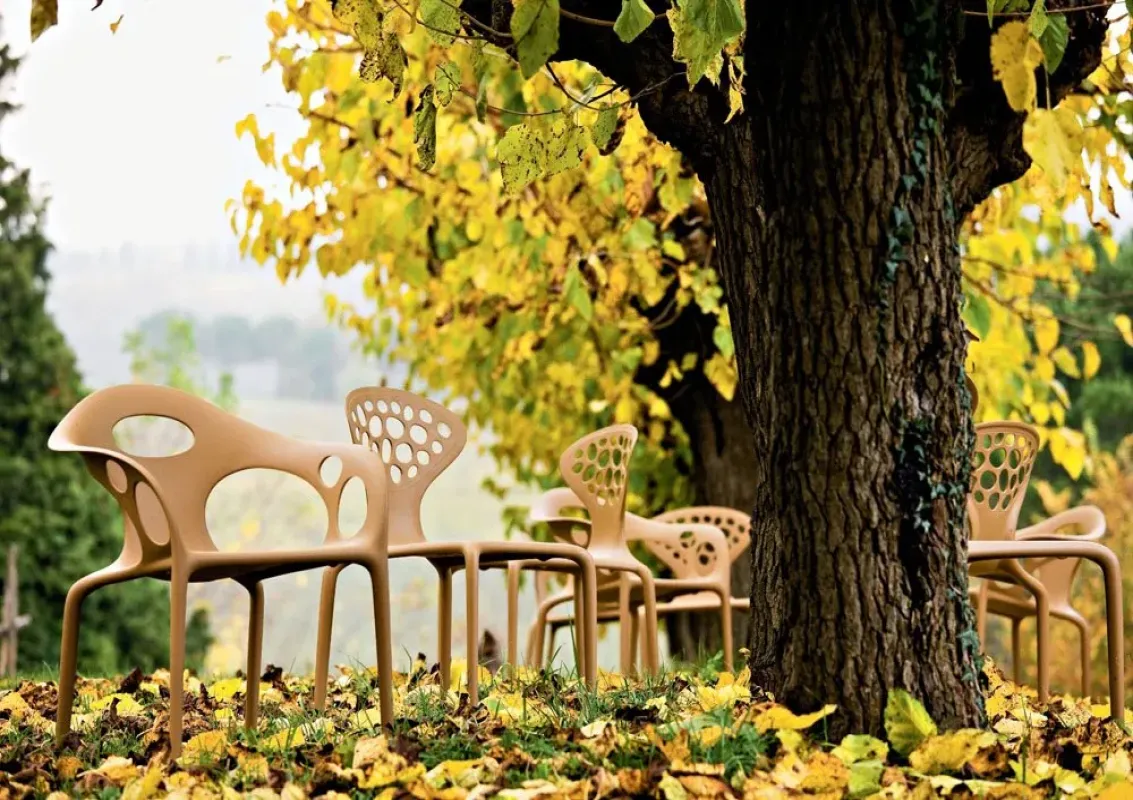 Supernatural Perforated - Moroso w Mesmetric