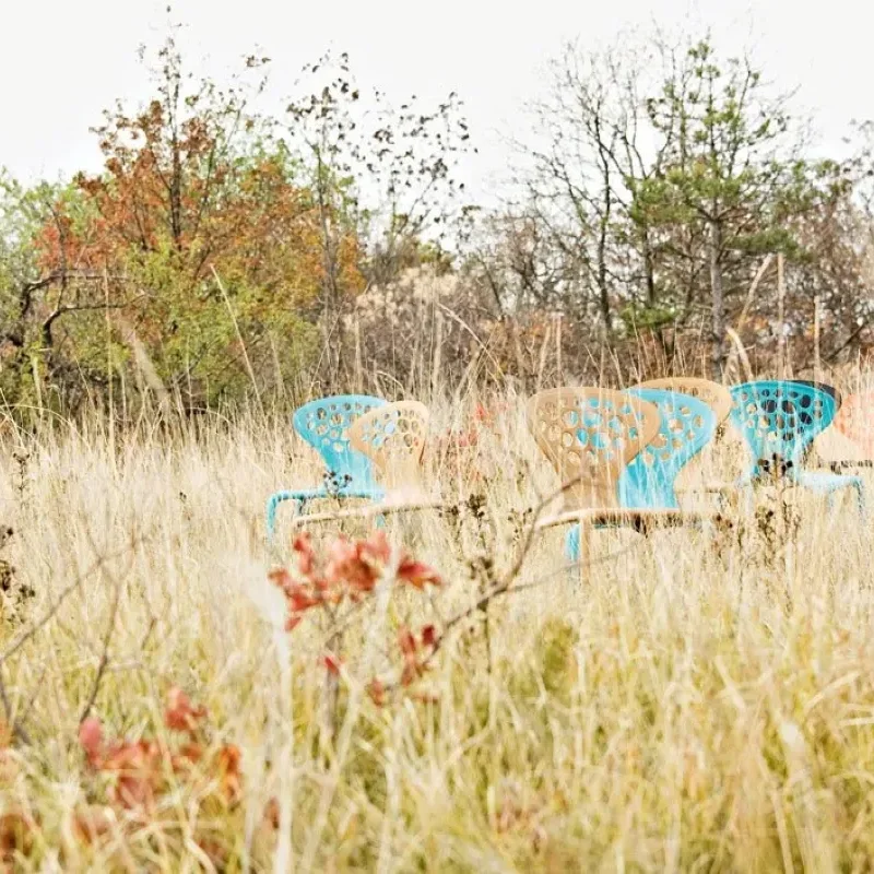 Supernatural Perforated - Moroso w Mesmetric