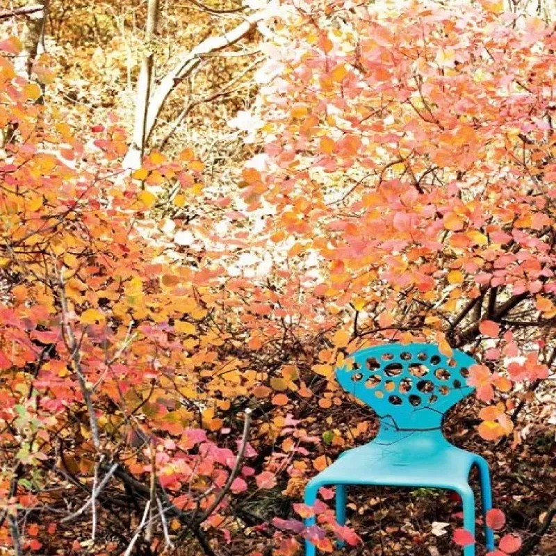 Supernatural Perforated - Moroso w Mesmetric