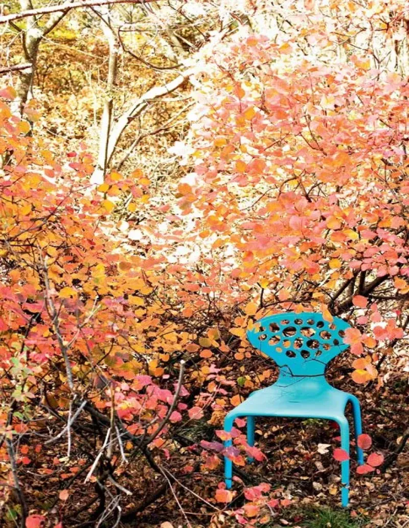 Supernatural Perforated - Moroso w Mesmetric