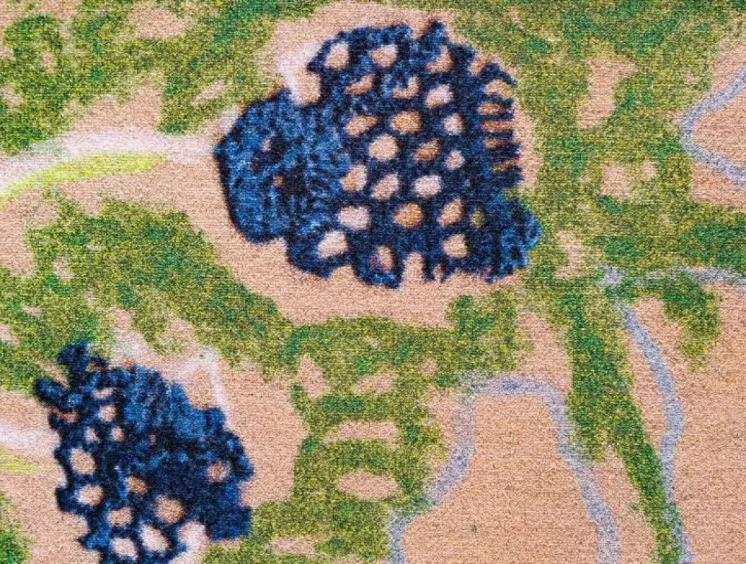 Transition - Moooi Carpets w Mesmetric