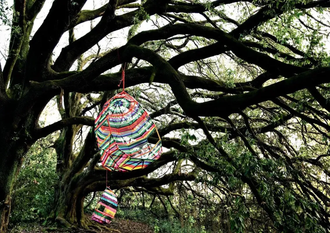 Tropicalia Cocoon Outdoor - Moroso w Mesmetric