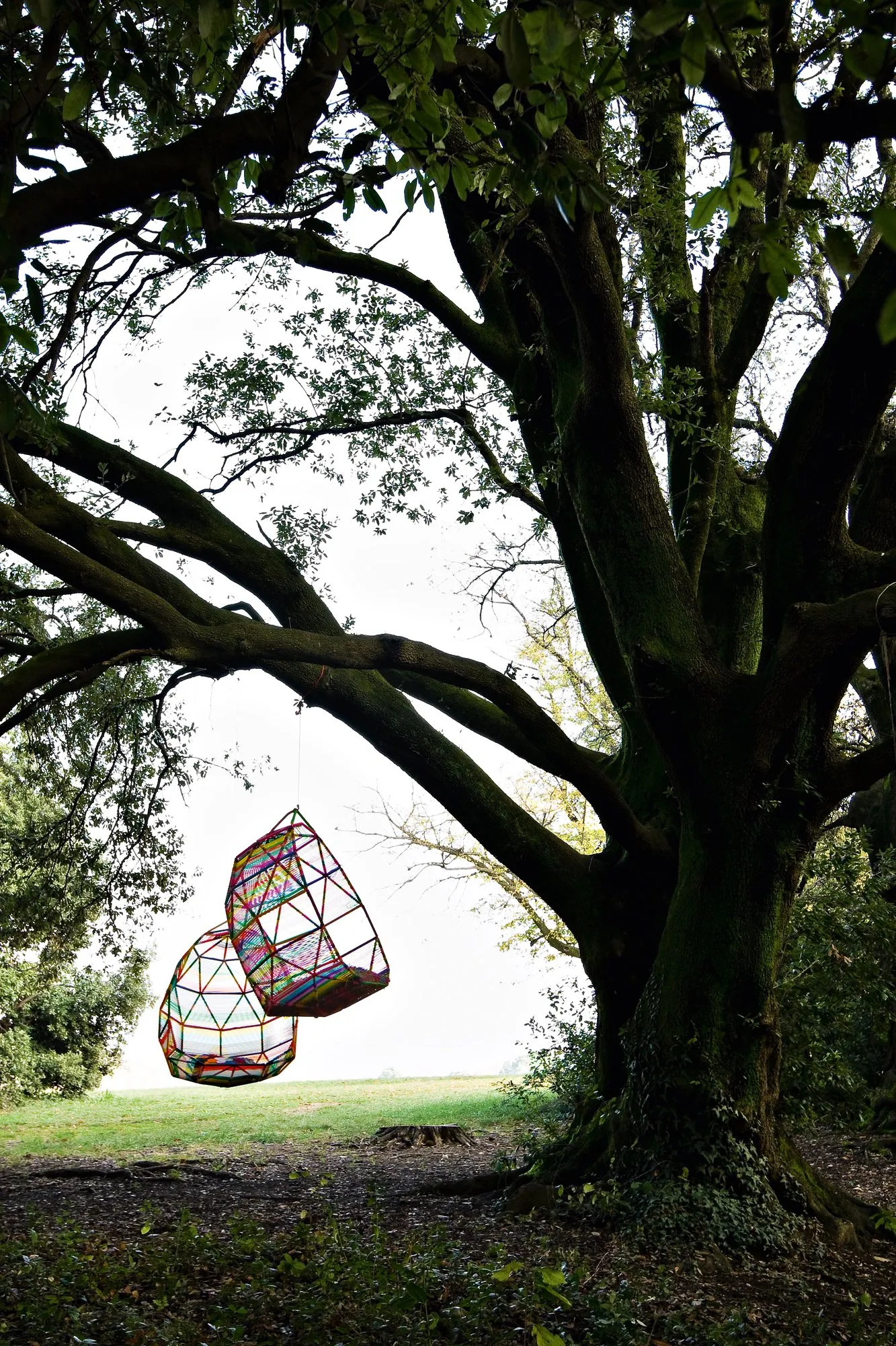 Tropicalia Cocoon Outdoor - Moroso w Mesmetric