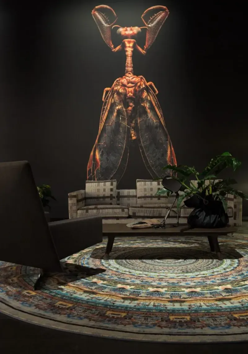 Urban Mandalas - Moooi Carpets w Mesmetric