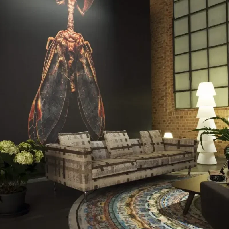 Urban Mandalas - Moooi Carpets w Mesmetric
