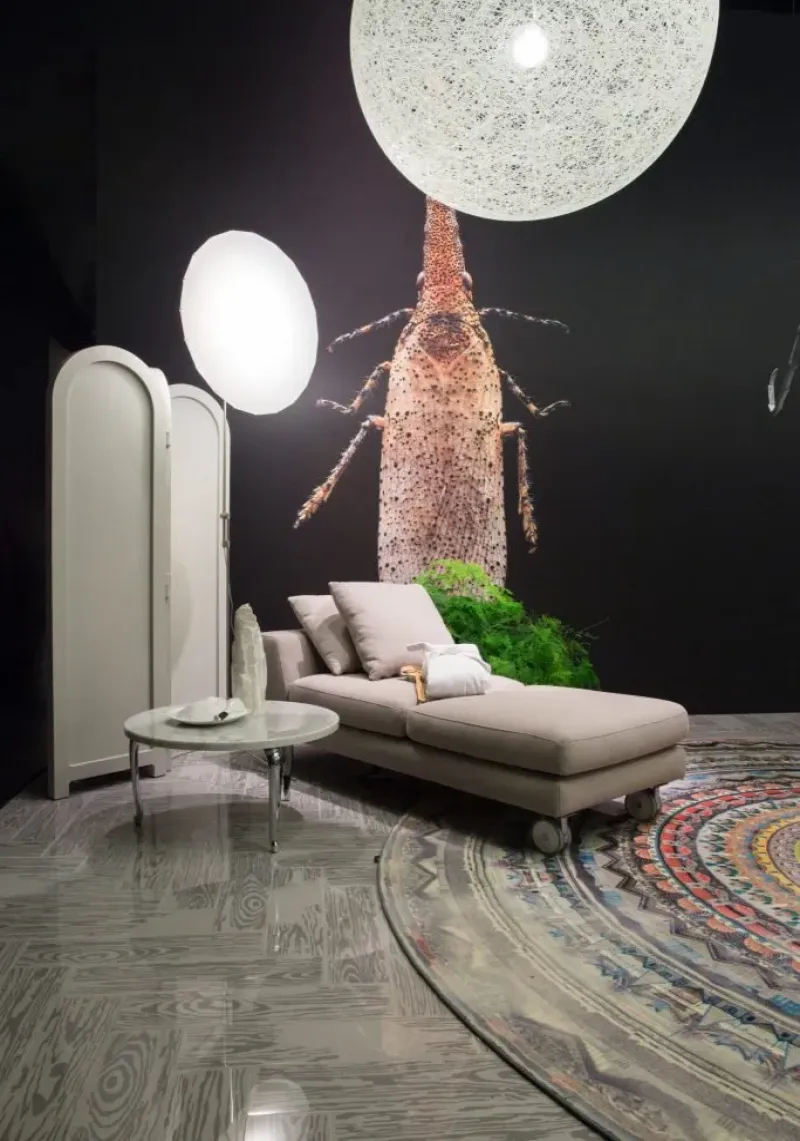 Urban Mandalas - Moooi Carpets w Mesmetric
