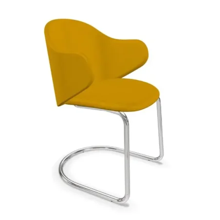 Dua Arms Cantilever