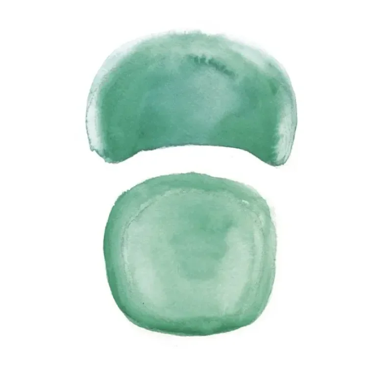 Dua Large Castors - Kristalia w Mesmetric